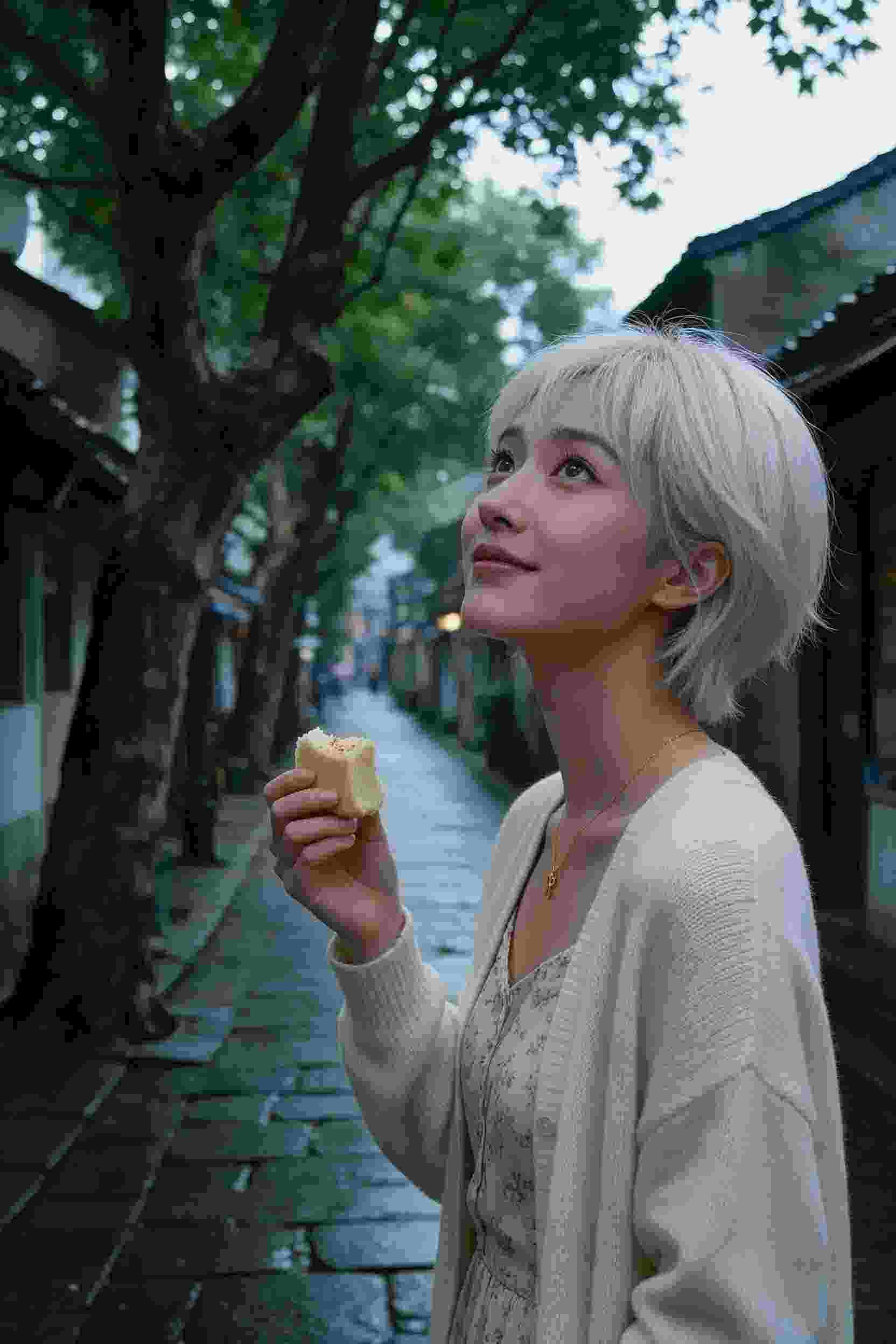 梦想之光